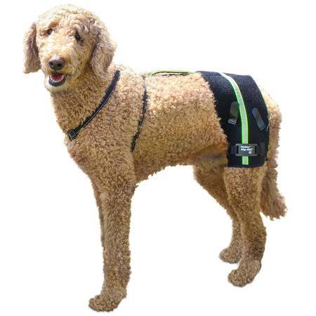 Walkin Hip-Eez Dog Hip Brace Support Harness System | Provides Joint Support For Dogs With Hip Dysplasia And Other Conditions Affecting The Hip Joint